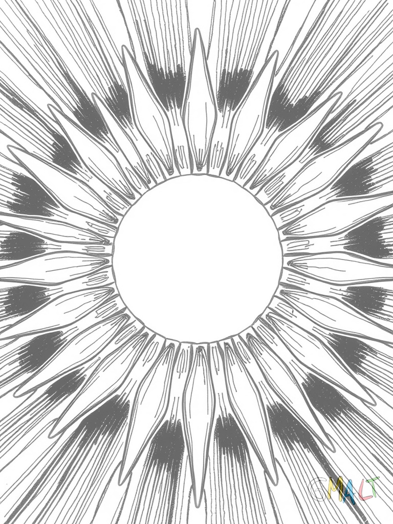 Sechs kurze Wachsmalstifte ohne Papierumwicklung liegen wie Strahlen einer Sonne aus einem gemeinsamen Mittelpunkt nach außen.